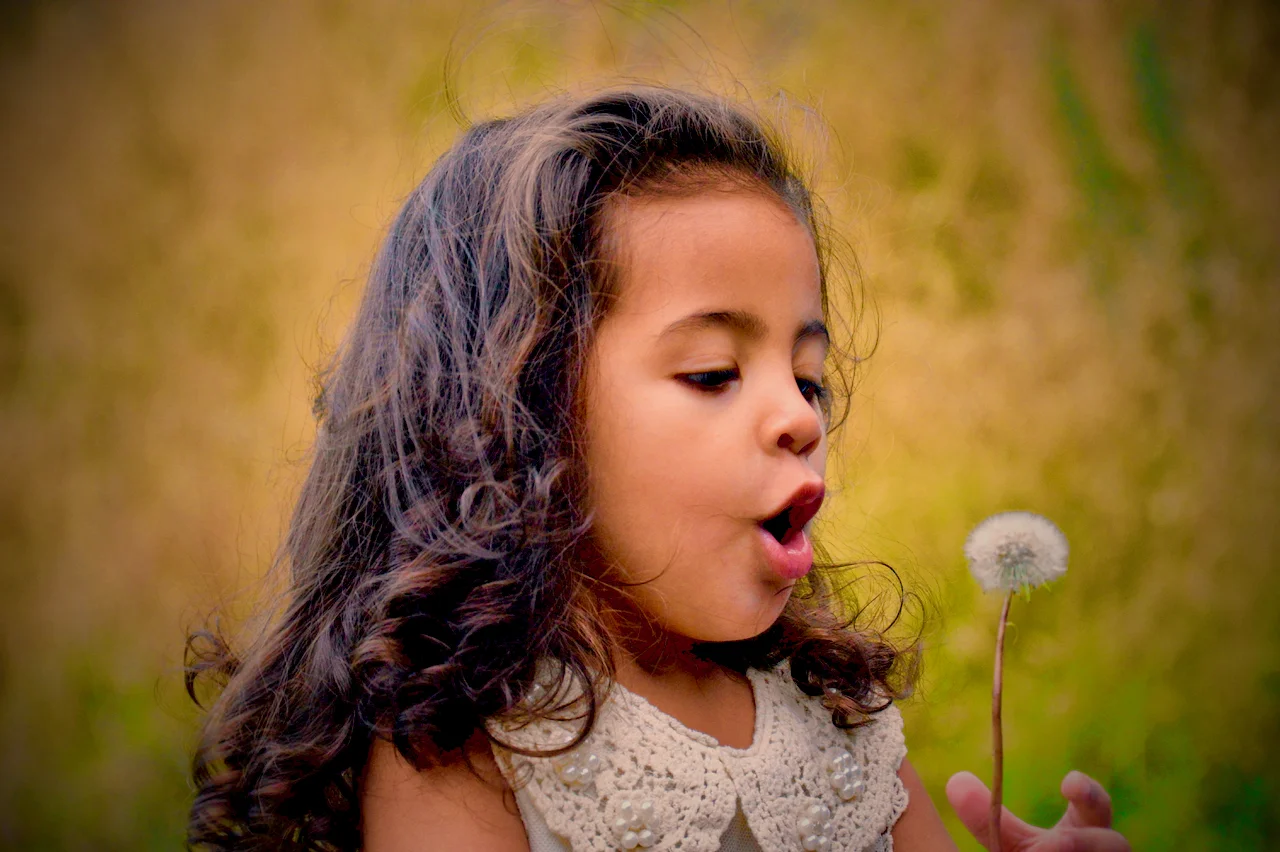 dandelion wishes