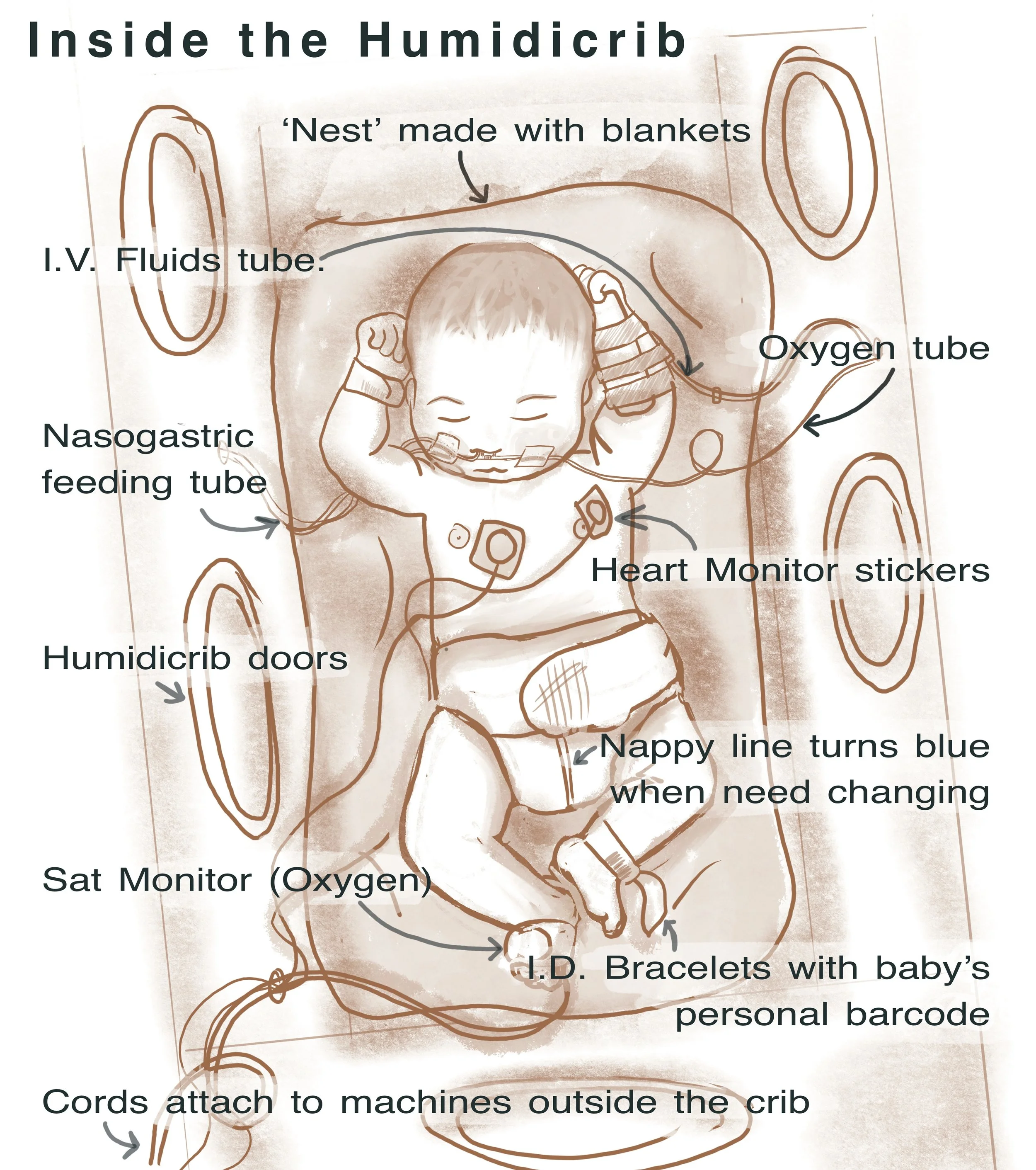 Untitled_Artwork 57.jpg