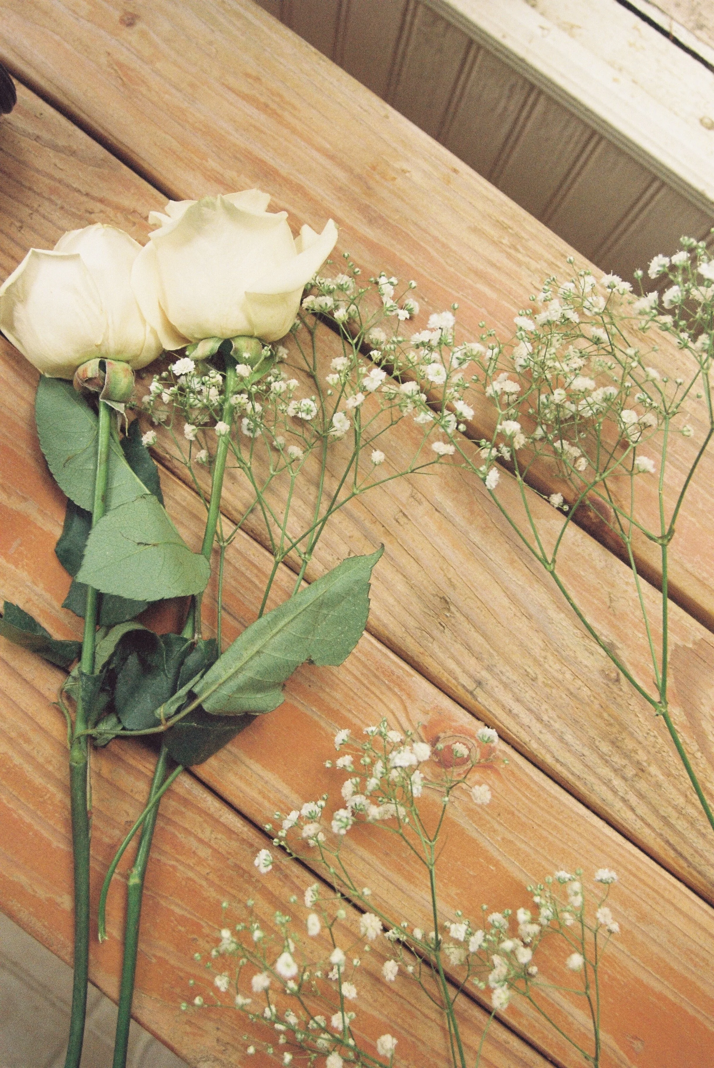 Fear makes you Freeze like an ICE