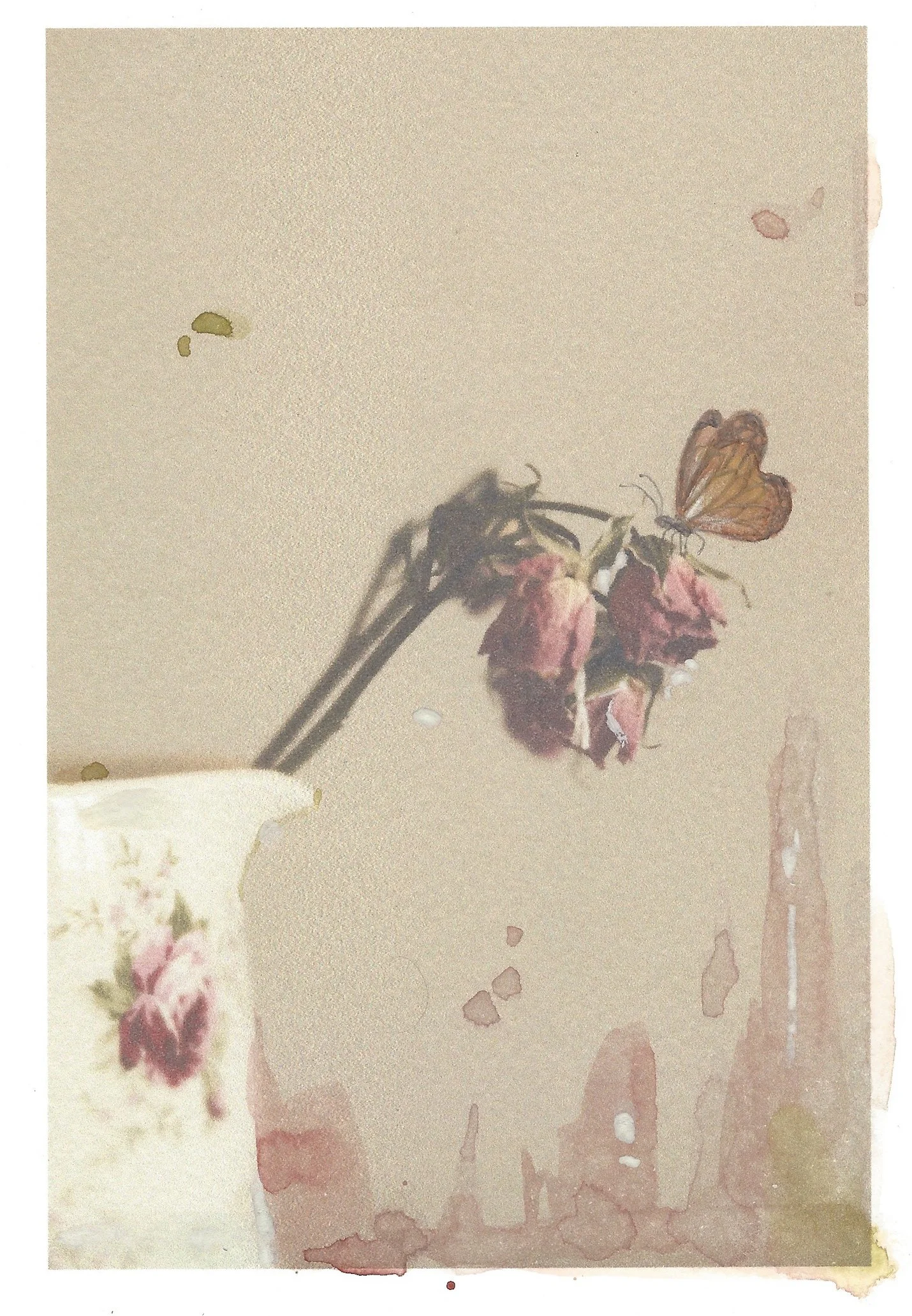 1st still edited.jpg