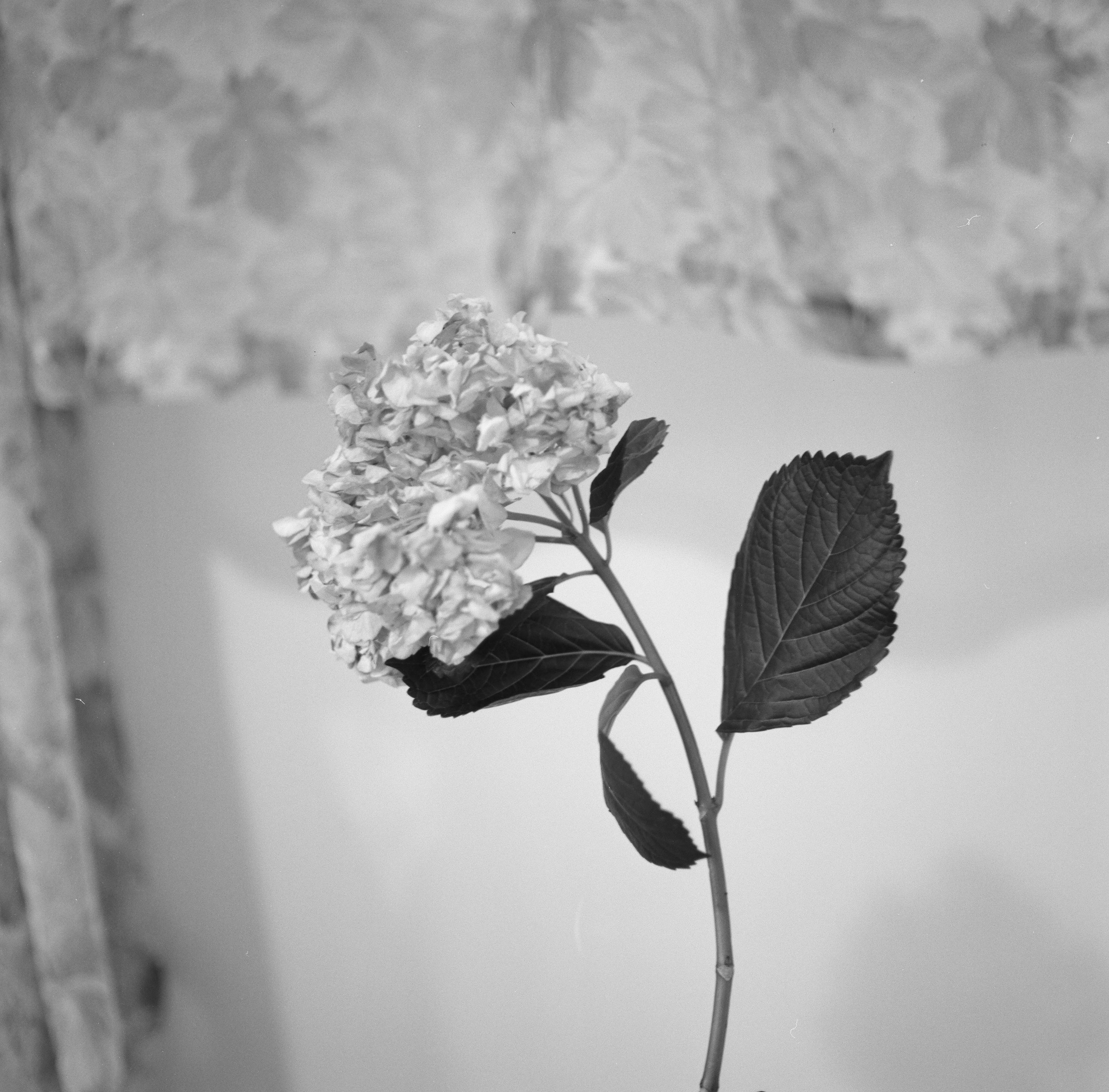 견디는 용기