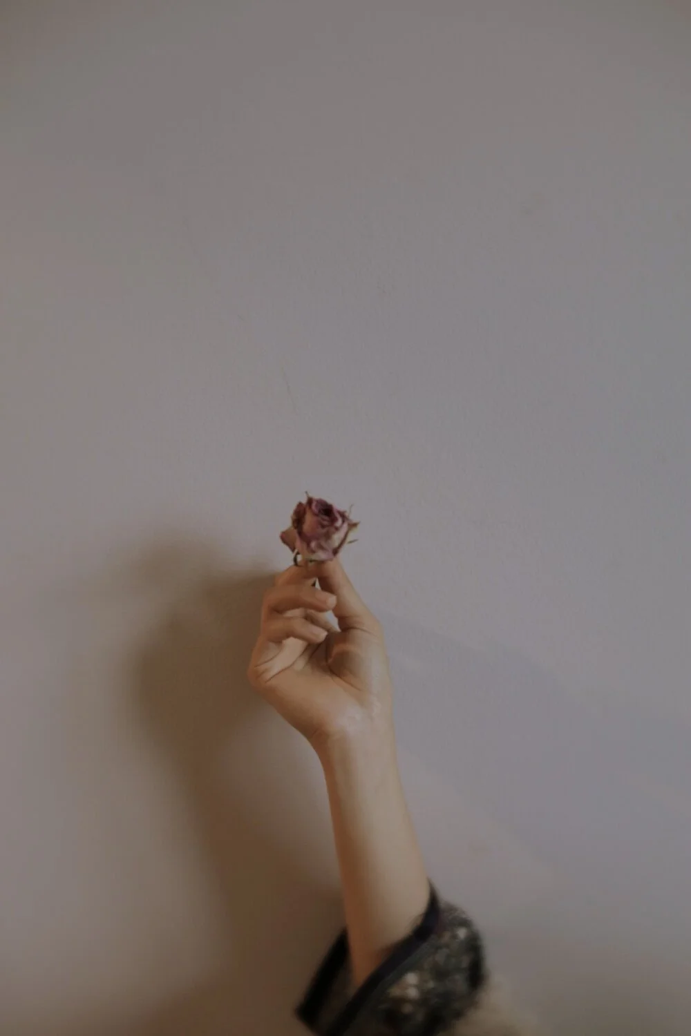 Baby's Breath (restoration)