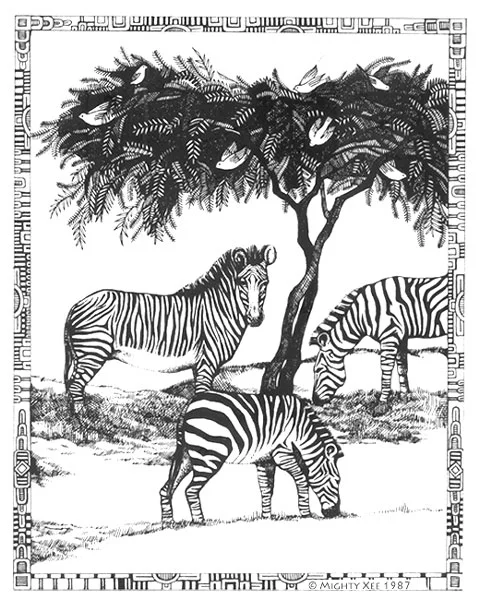 kalahari-cards-mx-zebra.jpg