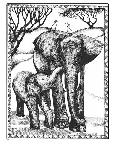 kalahari-cards-mx-elephants.jpg