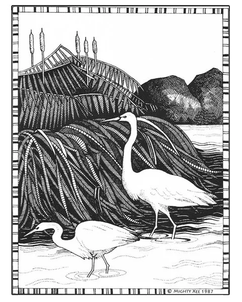 kalahari-cards-mx-cranes.jpg