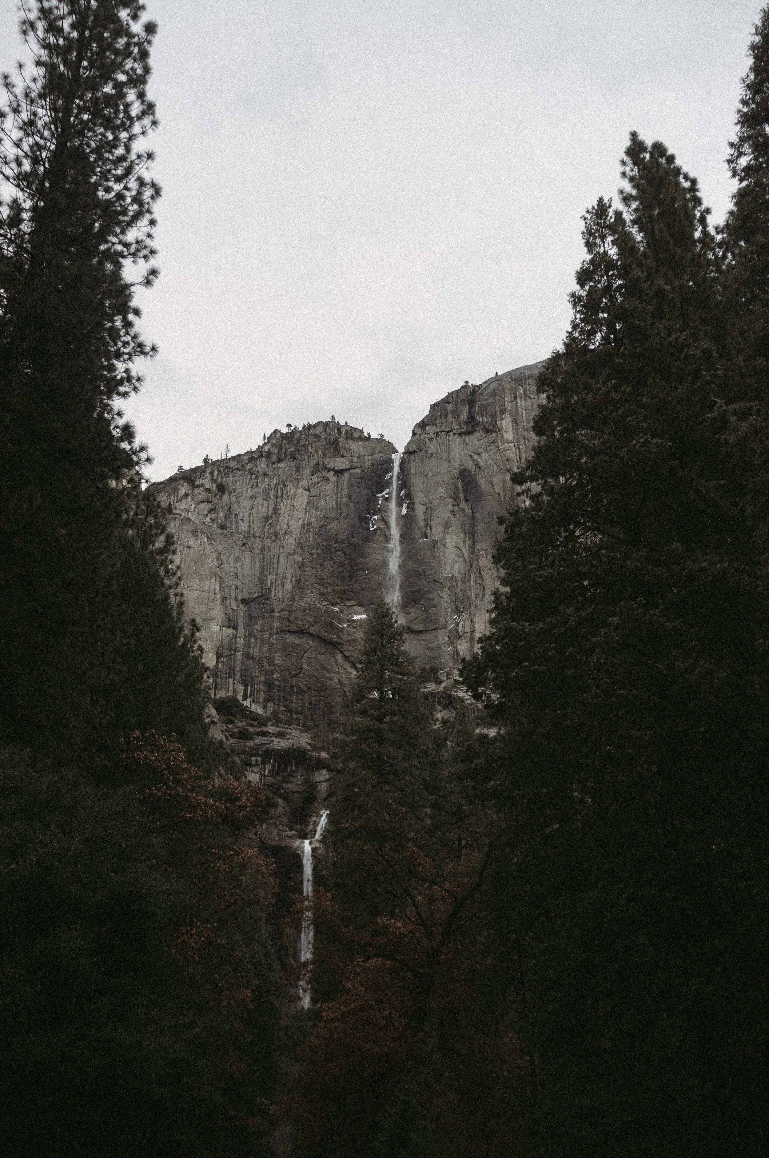 DSCF4249.jpg