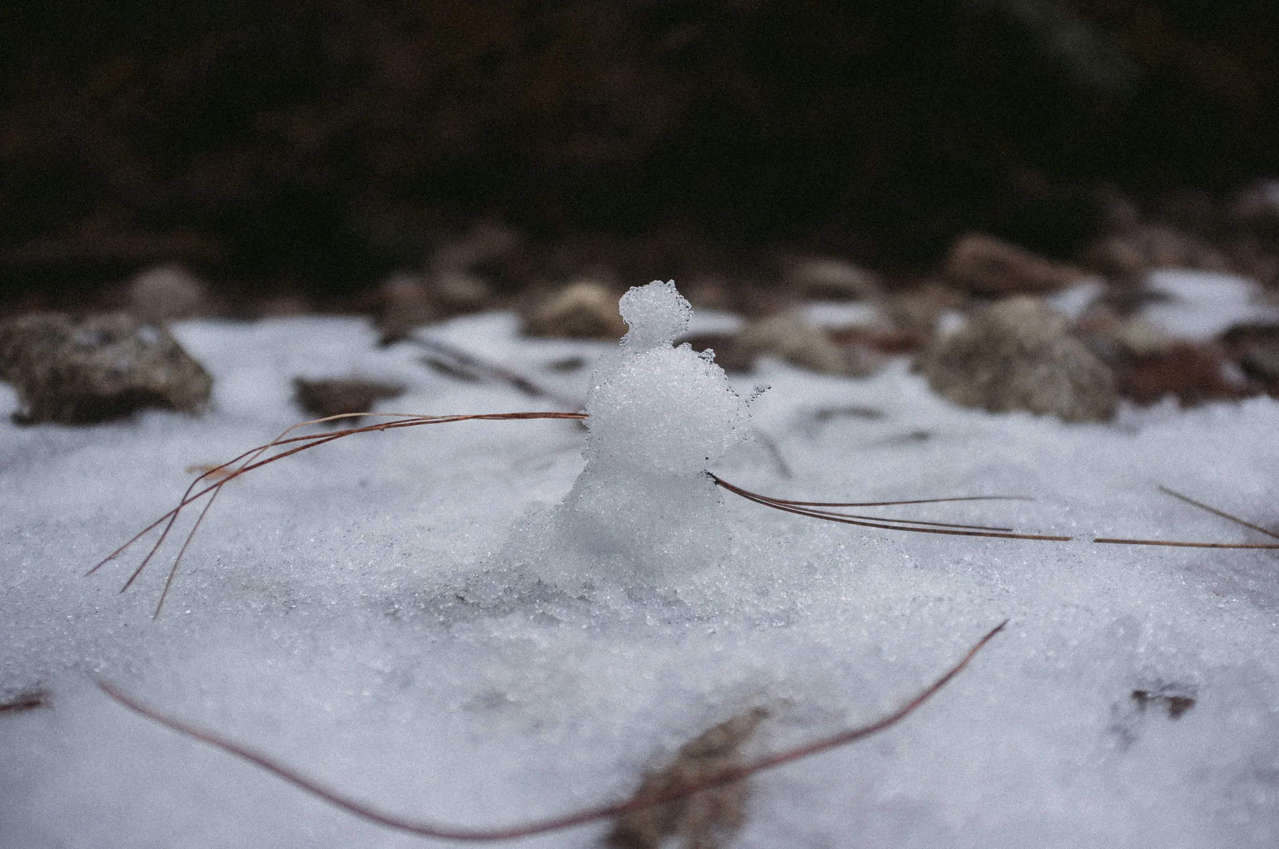 DSCF4313.jpg