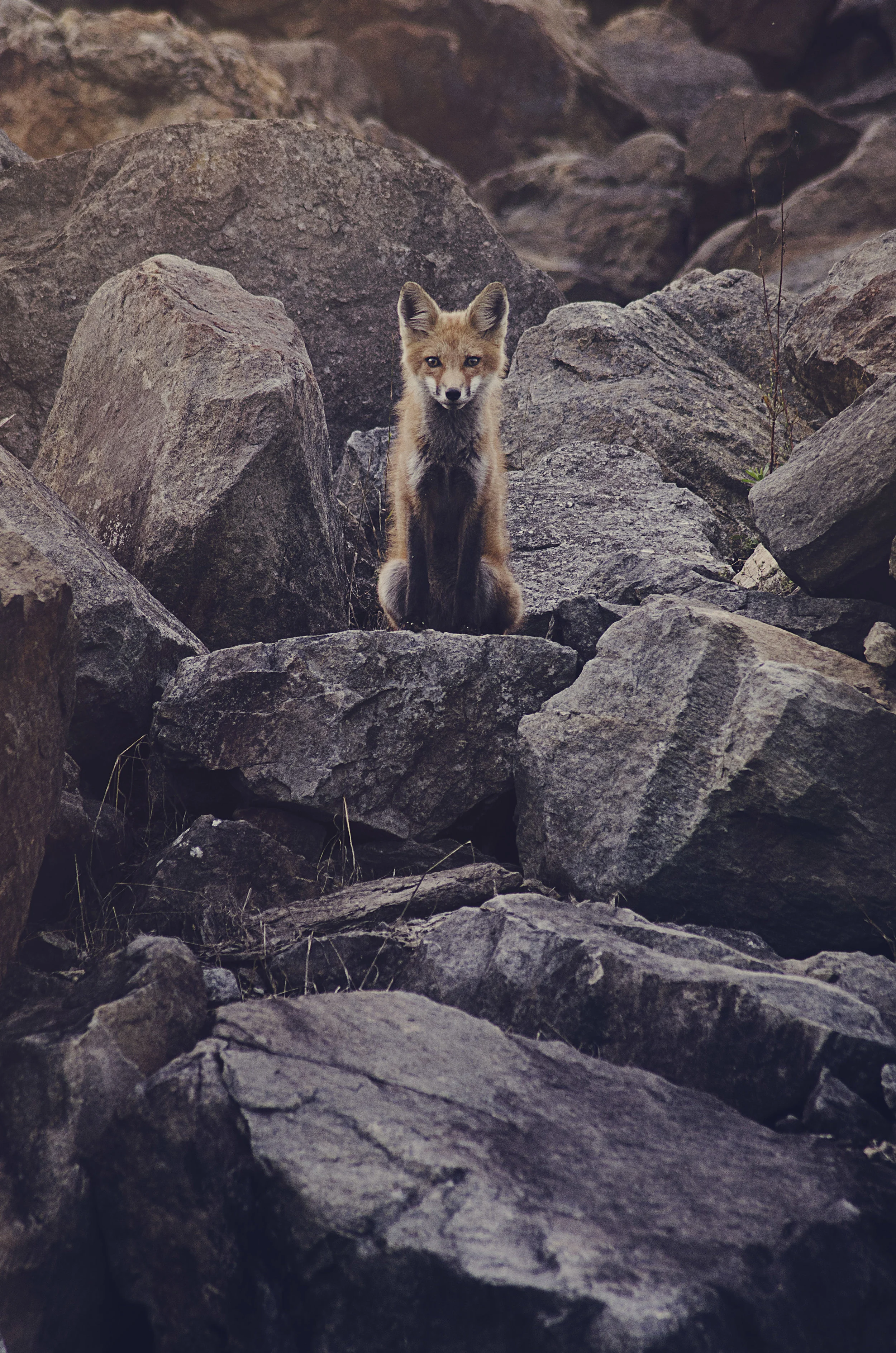 DSC_3541.jpg