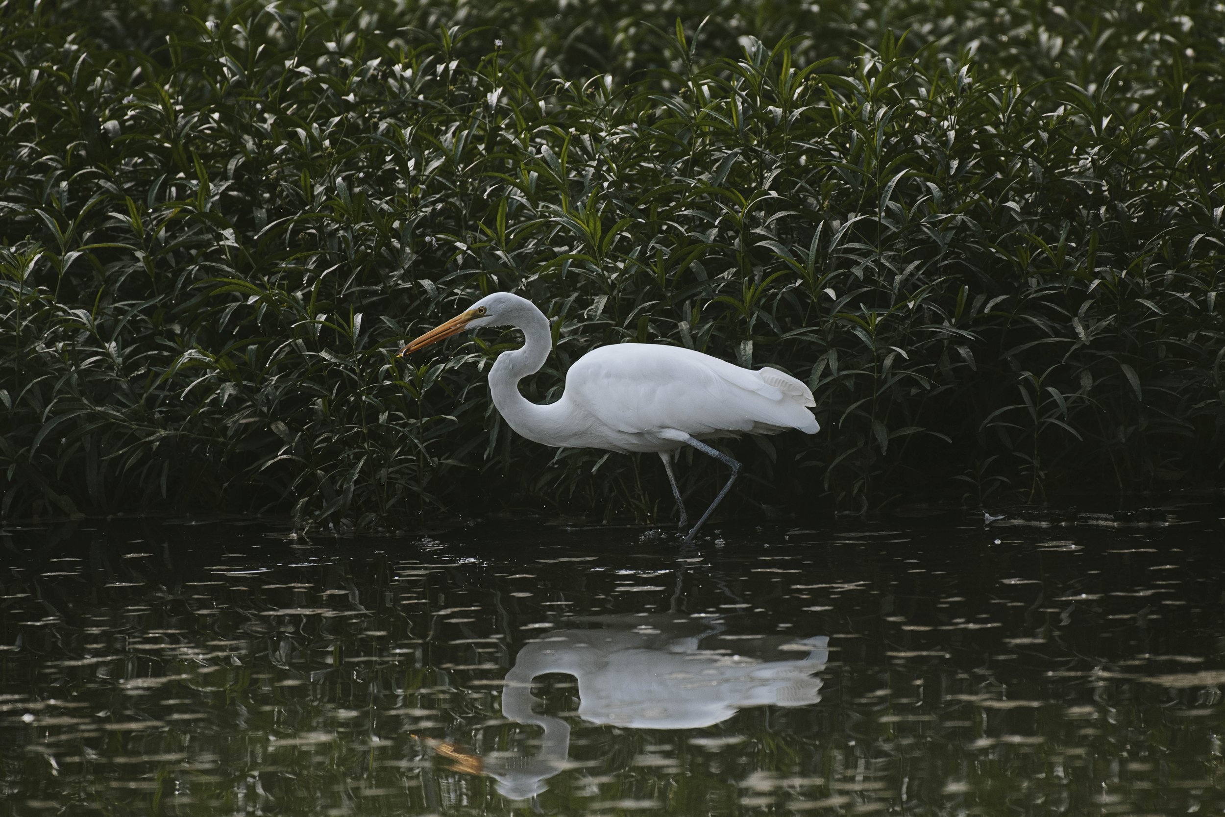 DSC_3319.jpg
