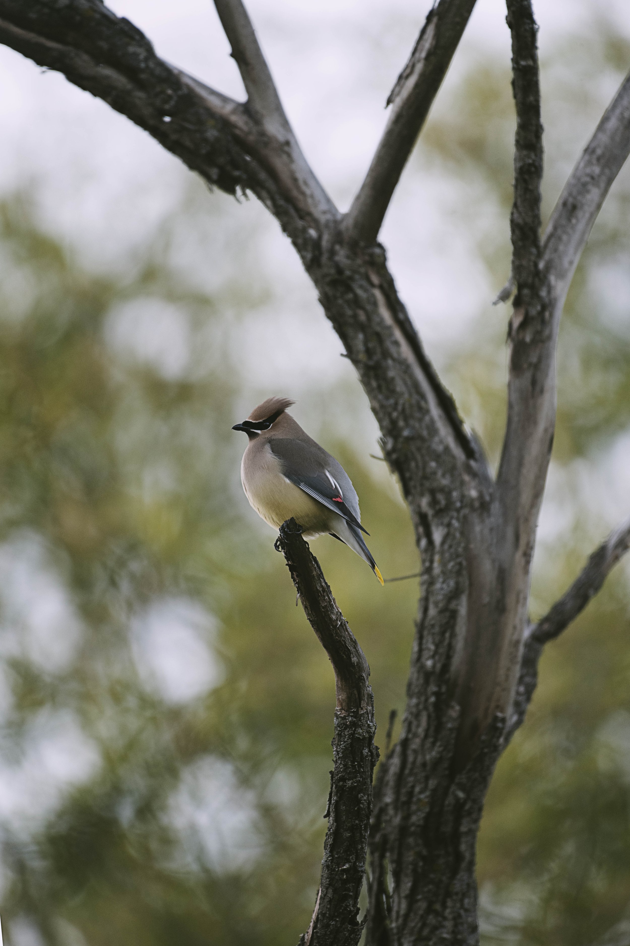 DSC_9176.jpg