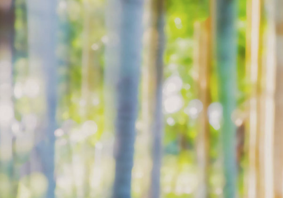 Screen Shot 2021-05-13 at 3.53.19 PM.png