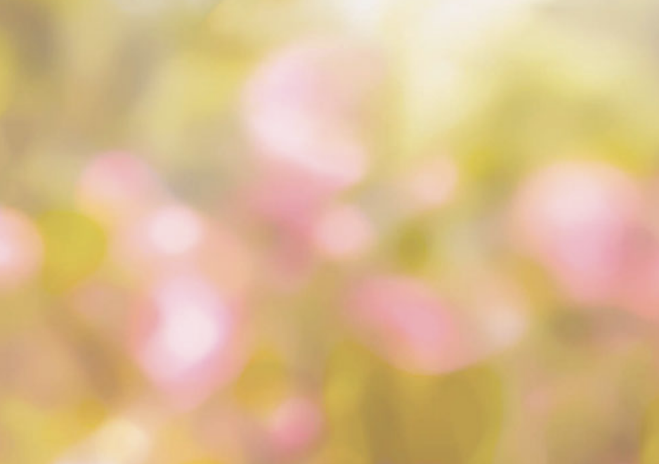 Screen Shot 2021-05-13 at 3.53.14 PM.png