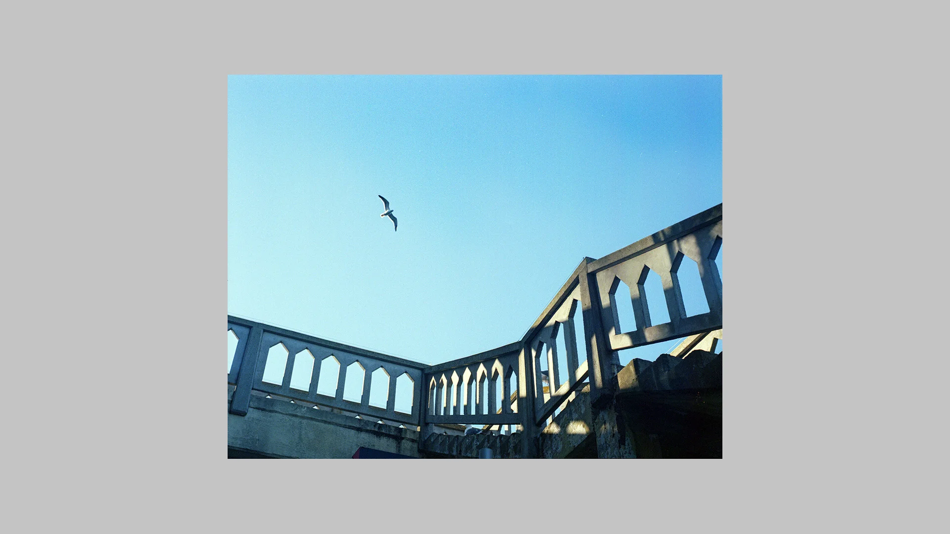 2015scan_april_roll9_006_EDITED_WEBSITE.jpg