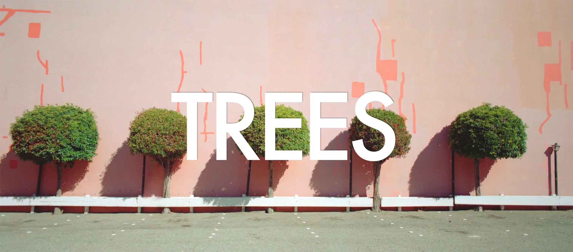 TREES_TB.jpg