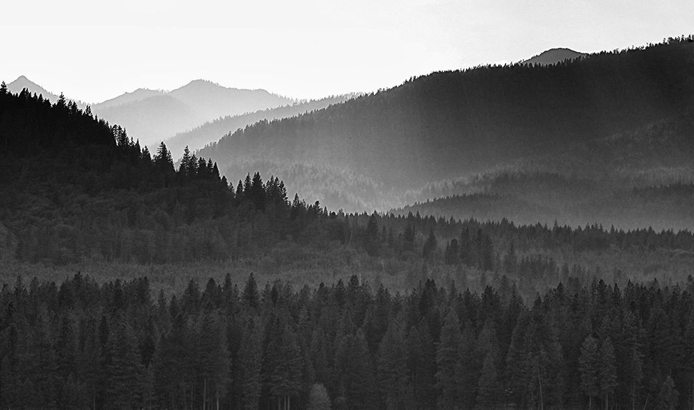 IMG_8602_EDITED_V2_BW.jpg