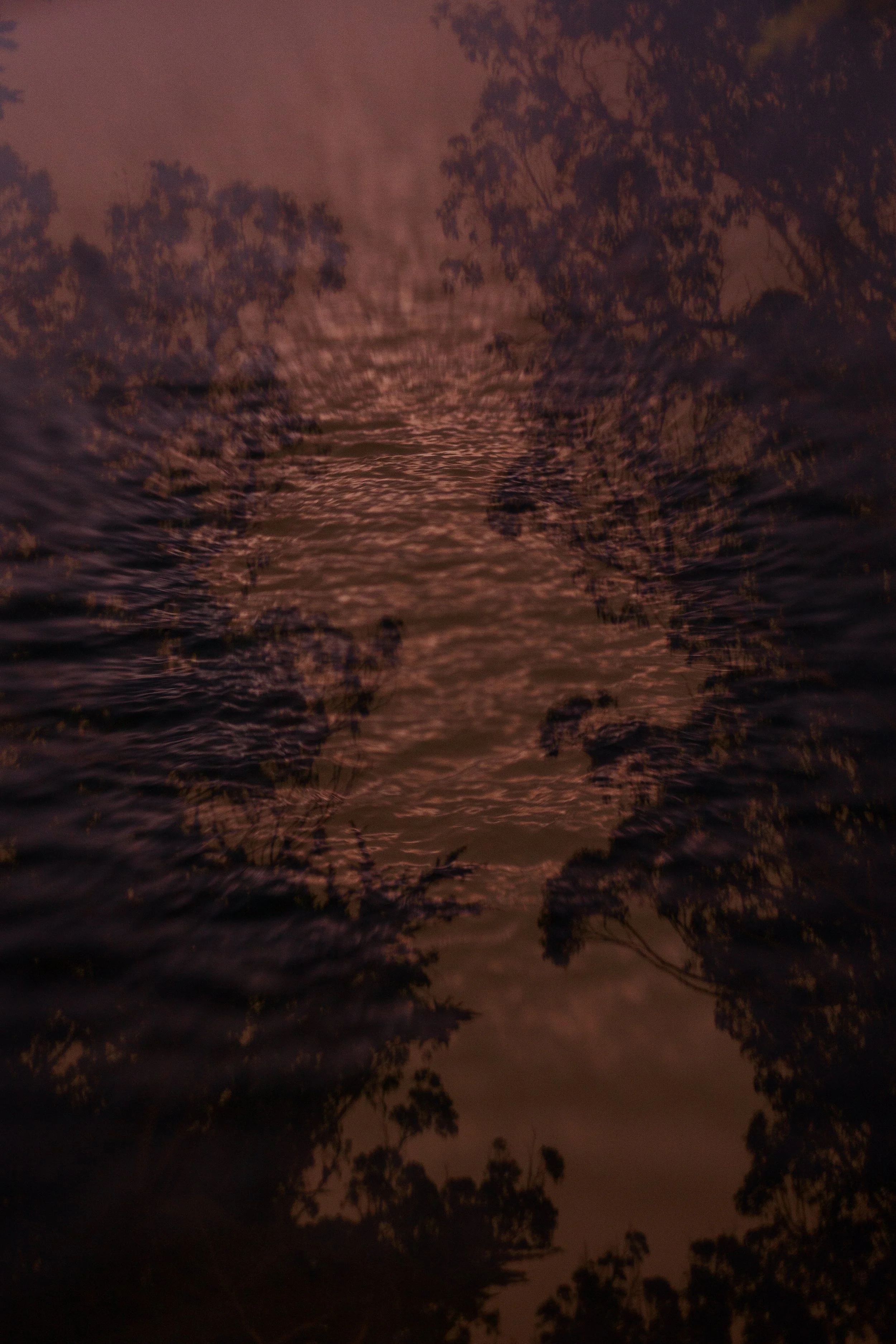 IMG_0534_PRESIDIO_MARINA_SAN FRANCISCO_20250918.jpg