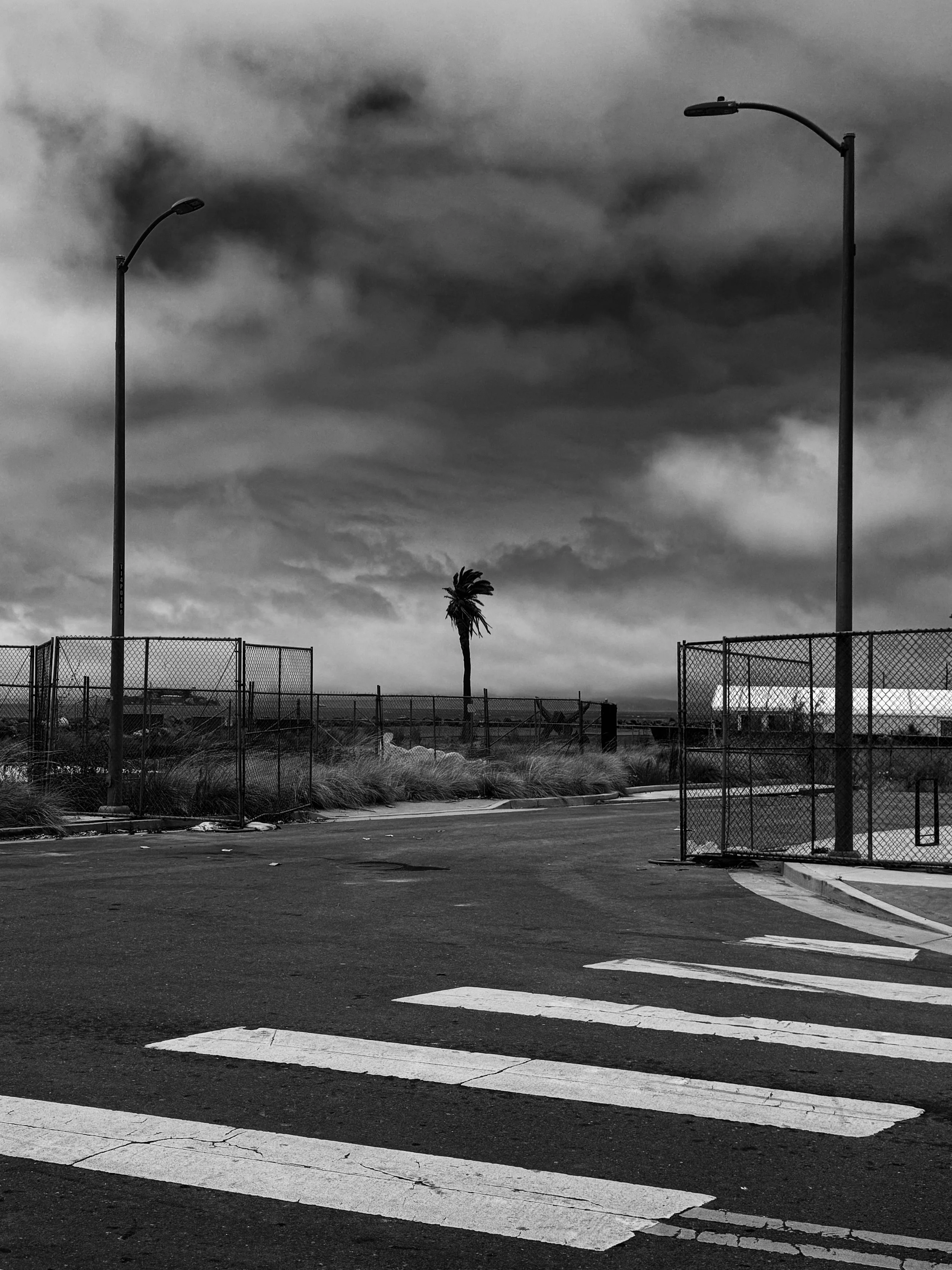 IMG_2102 3_TREASURE ISLAND_20250626.jpg