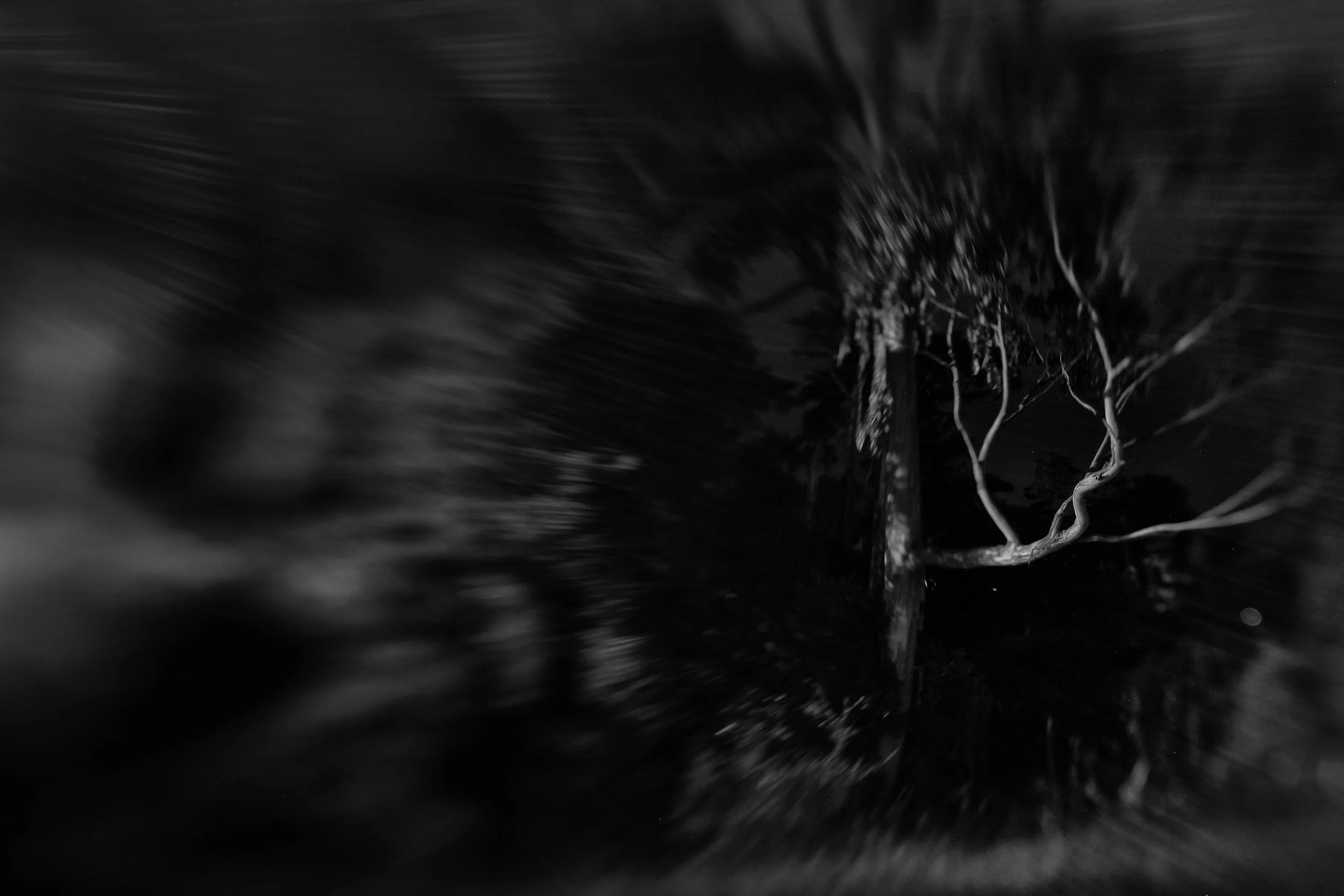 IMG_0473_LAKE MERCED_DALY CITY_20250723.JPG