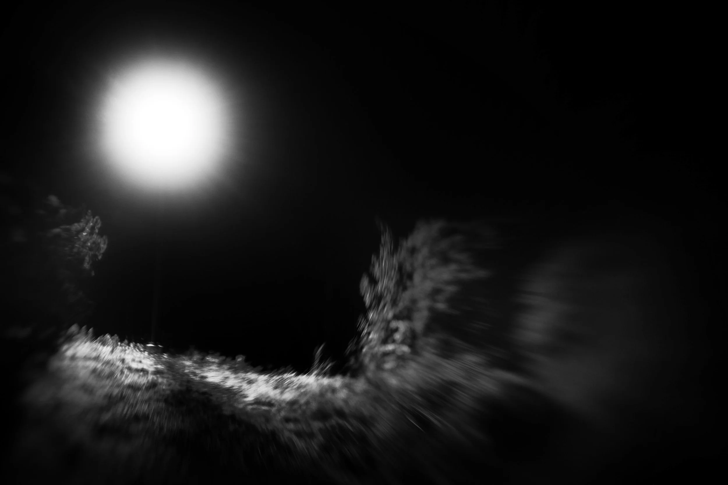 IMG_0464_DALY CITY_20250723.JPG