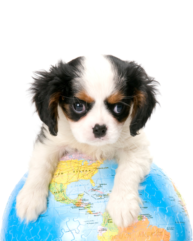 106-iStock_000005742903Small.jpg