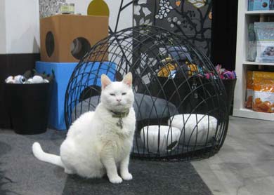 438-LAHomeShow3_small.jpg