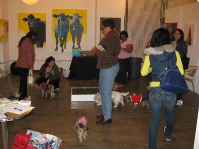 449-yorkiemeetup2.jpg