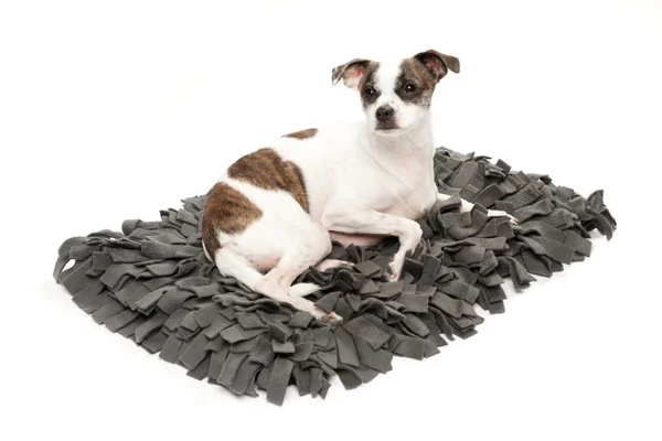wildbeest Charcoal.jpg