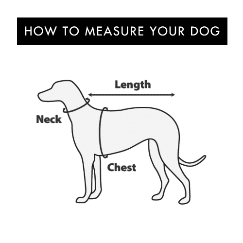 Measuring-Dog-How-To.png