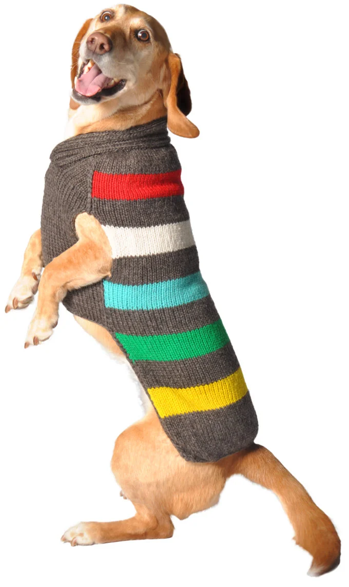 Chilly Dog - Charcoal Stripe.jpg