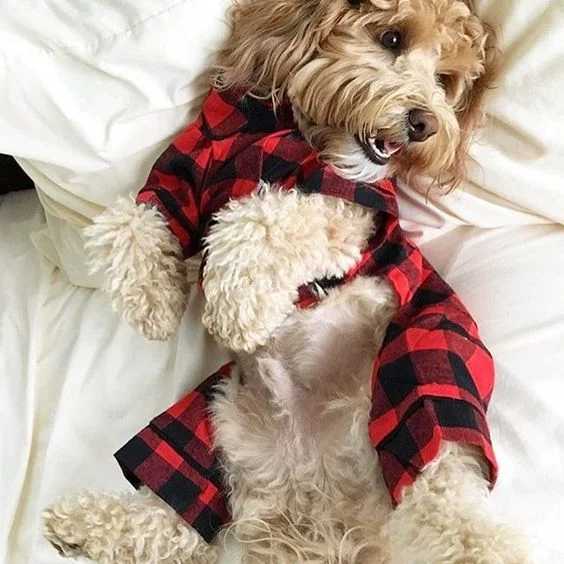 Fabdog BUFFALO CHECK PJS 3.jpg