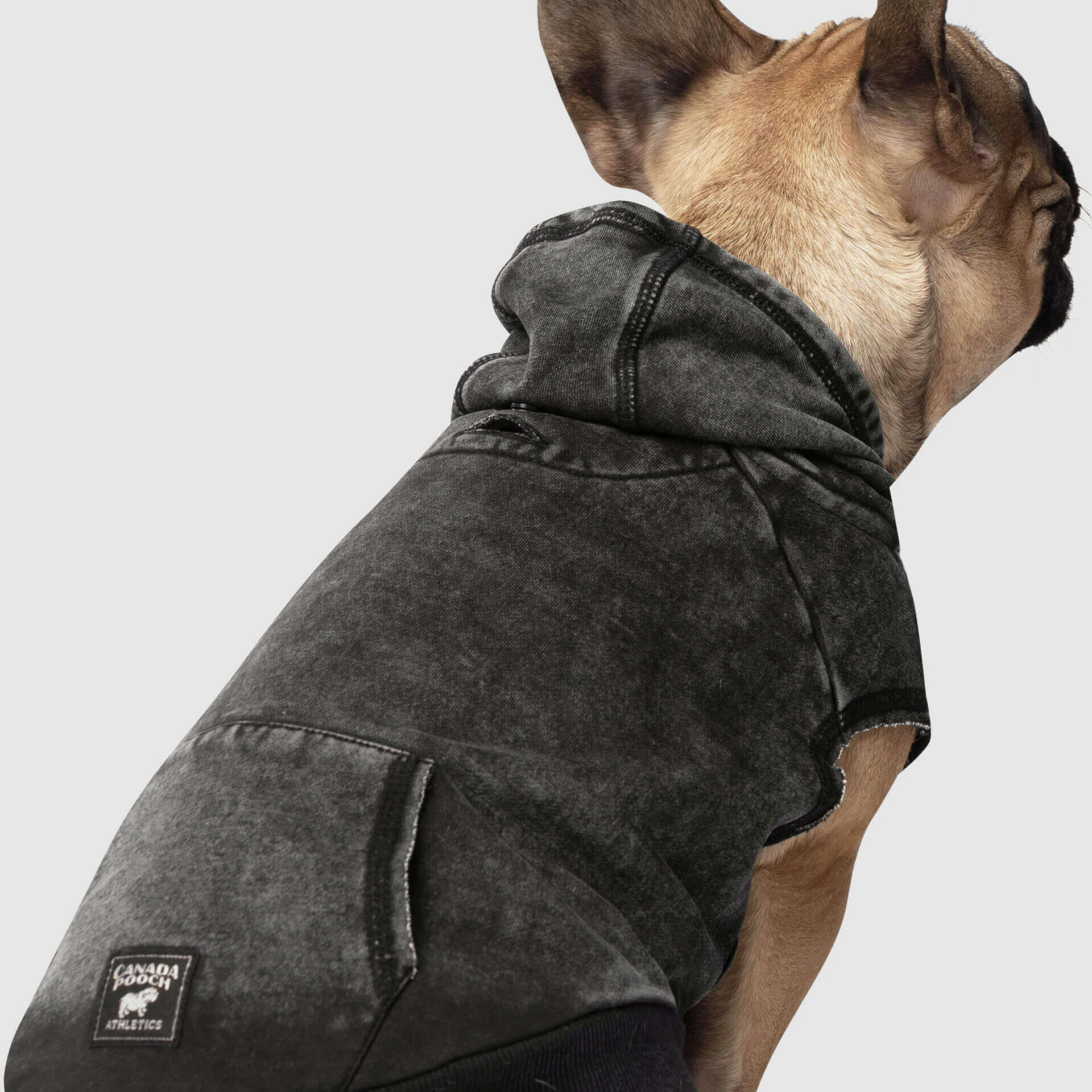 canada-pooch-grey-acid-wash-dog-hoodie-back-view-color_148.jpg