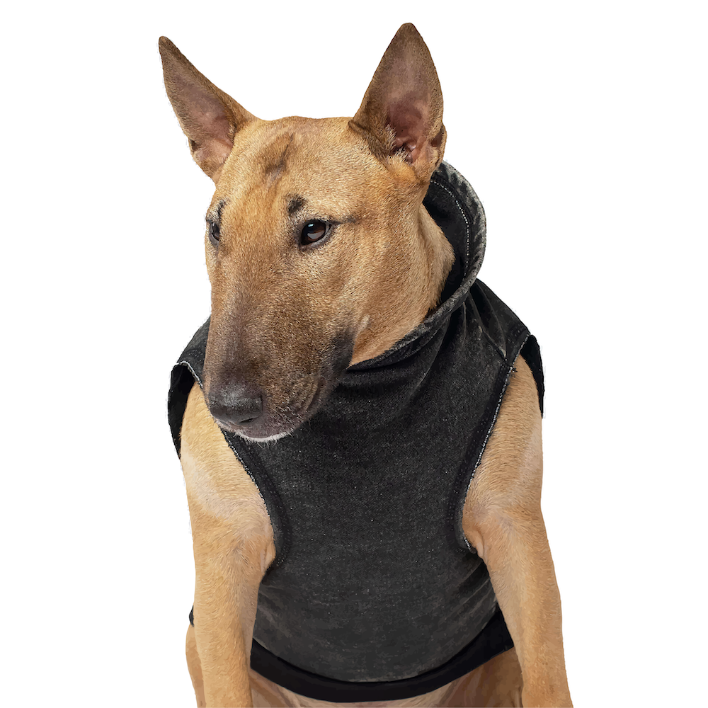 Canada Pooch - No Authority Hoodie.png