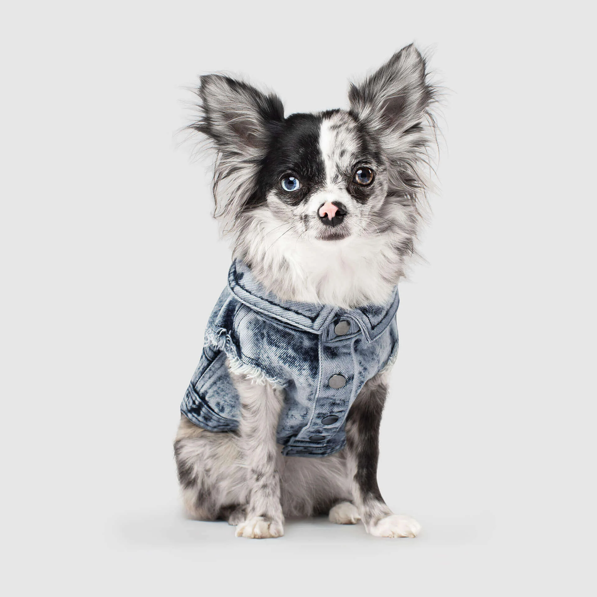 canada-pooch-denim-dog-vest-blue-front-view-color_149.jpg