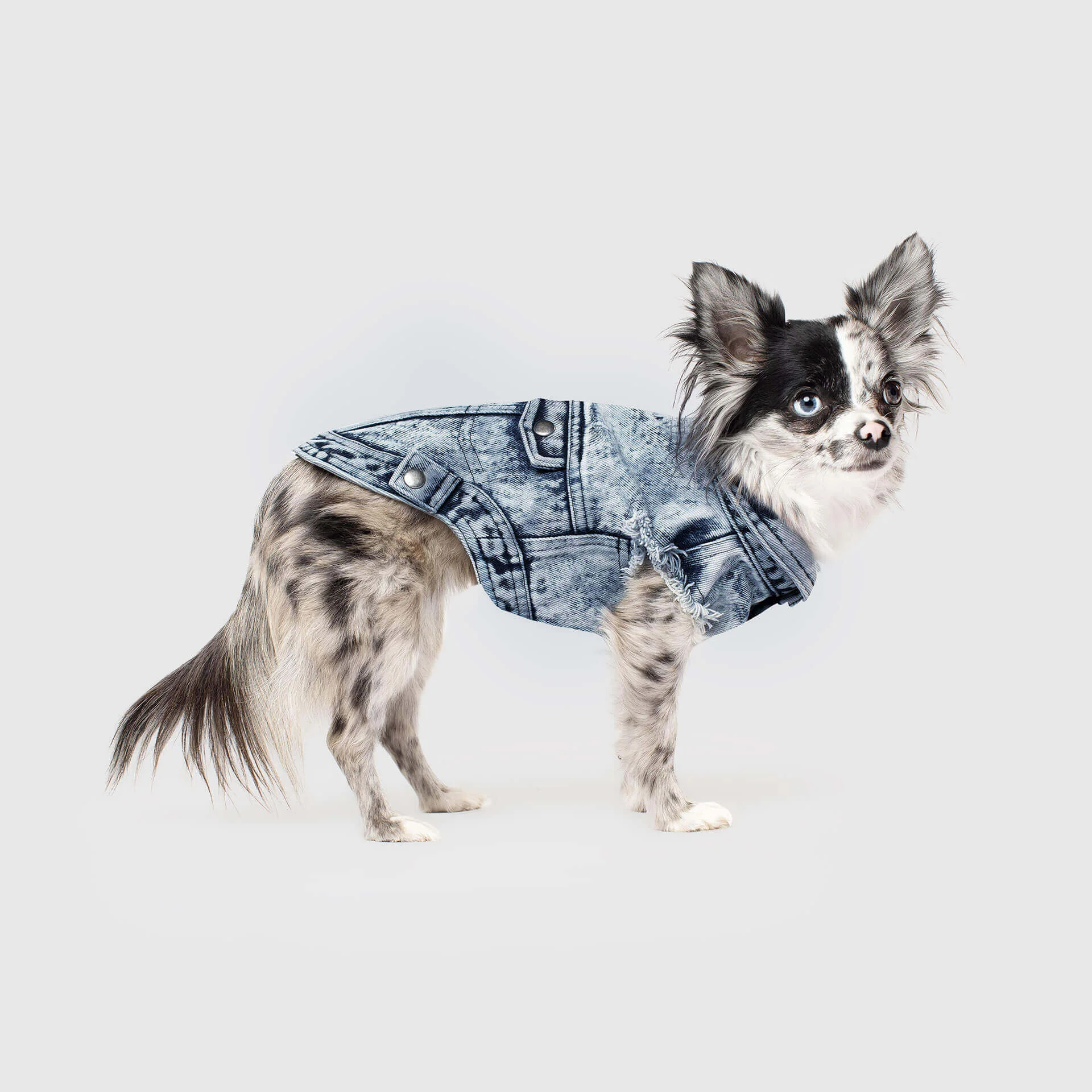 canada-pooch-denim-dog-vest-blue-side-view-color_149.jpg