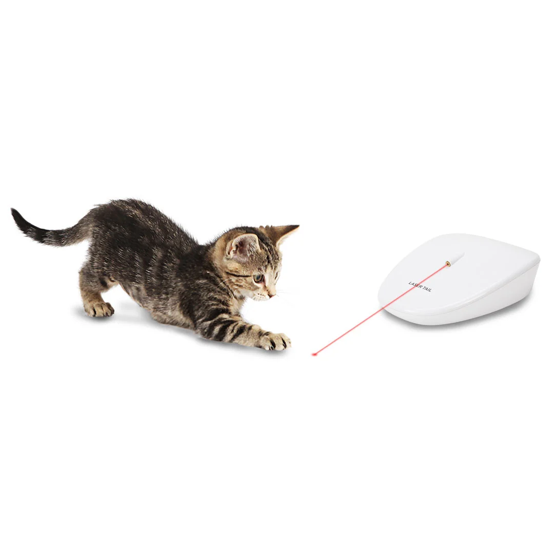 laser_tail_ls_kitten.jpg