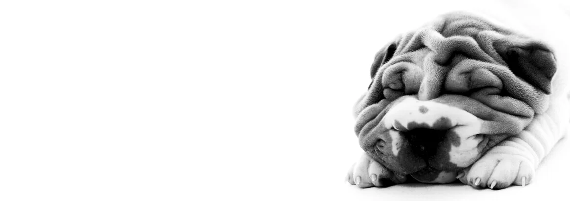 Men's (Realistic) Guide to Skincare