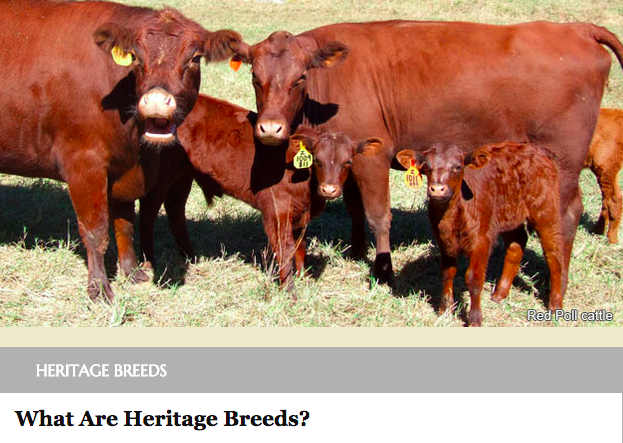 The Livestock Conservancy