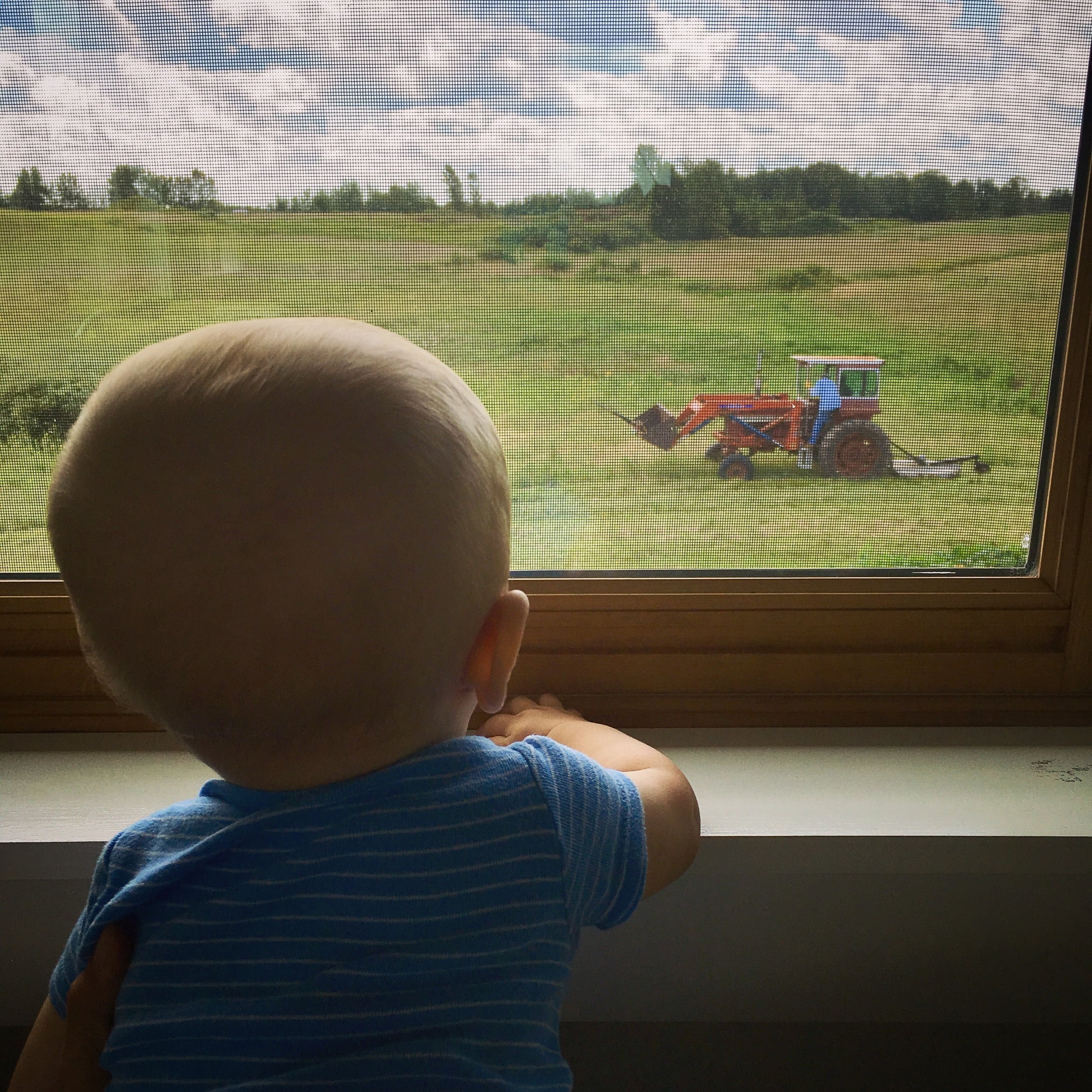 watching papa and grandpa drive the tractor