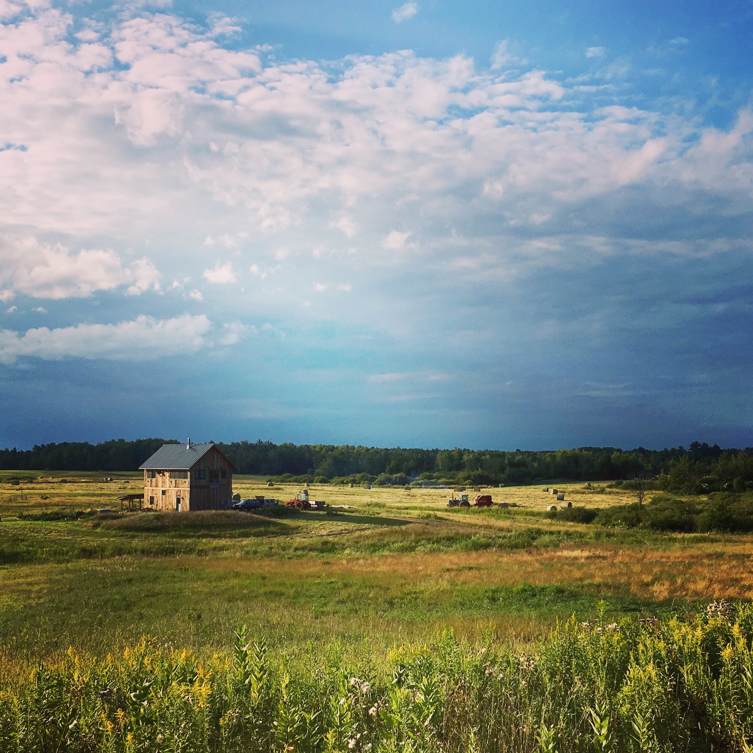 pasture - putting up hay.JPG