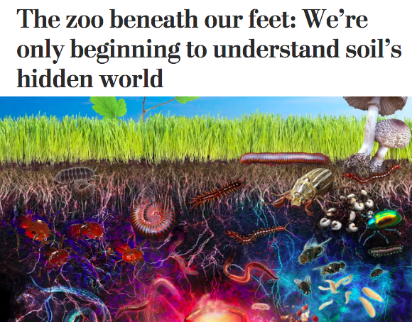 Washington Post