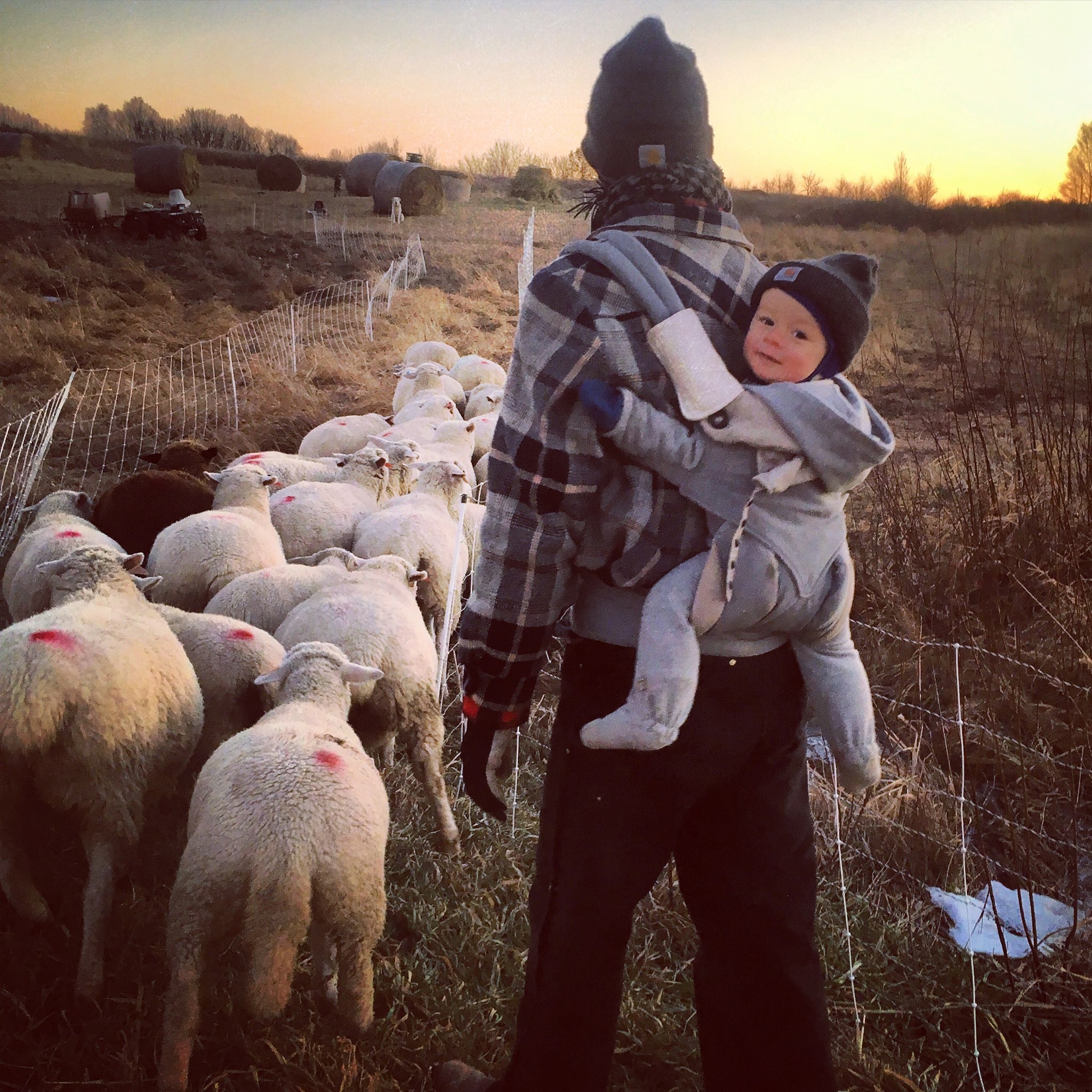 farmers - babywearing.jpeg