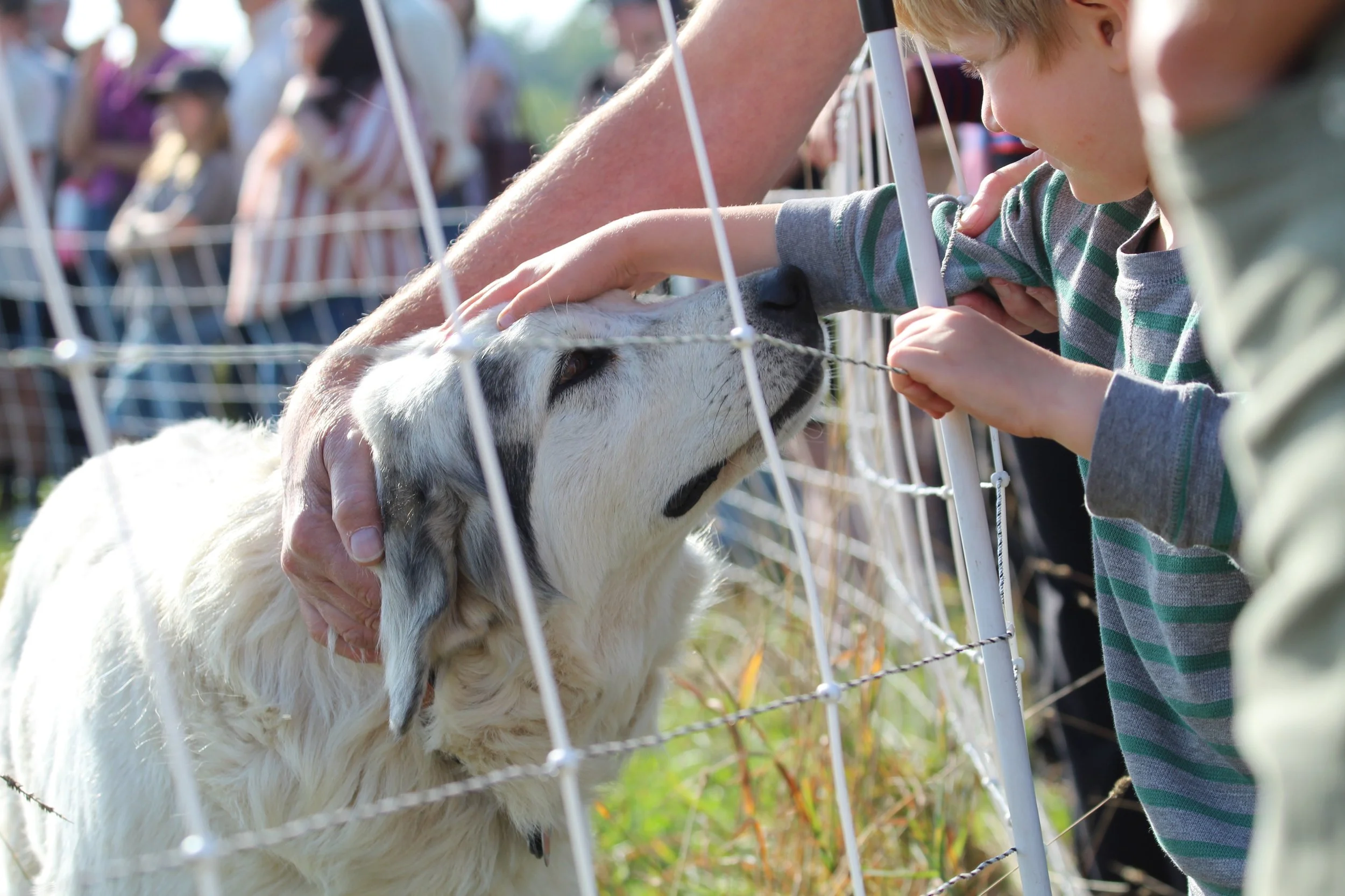 IMG_8991.JPG