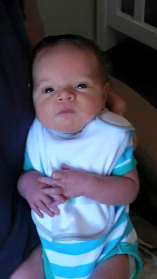 Just in time for Christmas...