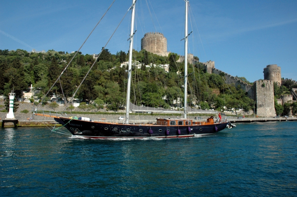 Sureyya V