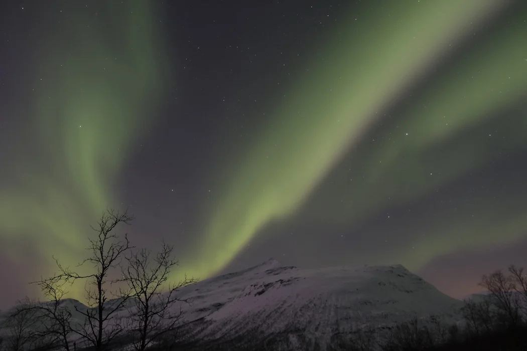 Chasing the Northern Lights