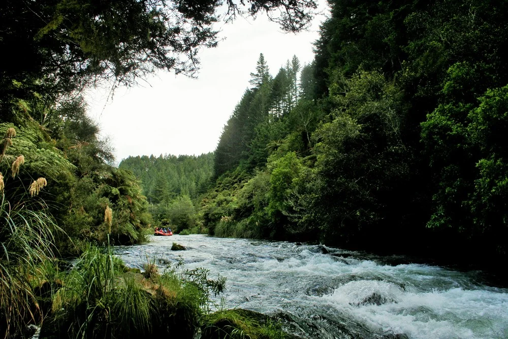 rangi 13-Nov-13 037.jpg