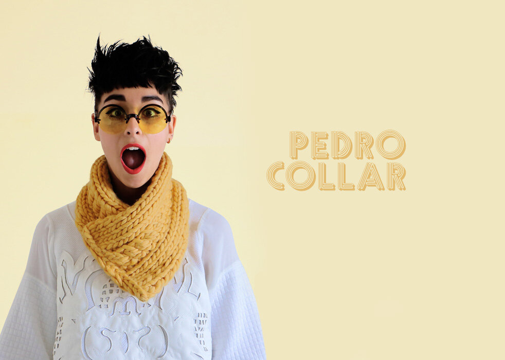 pedro-collar.jpeg