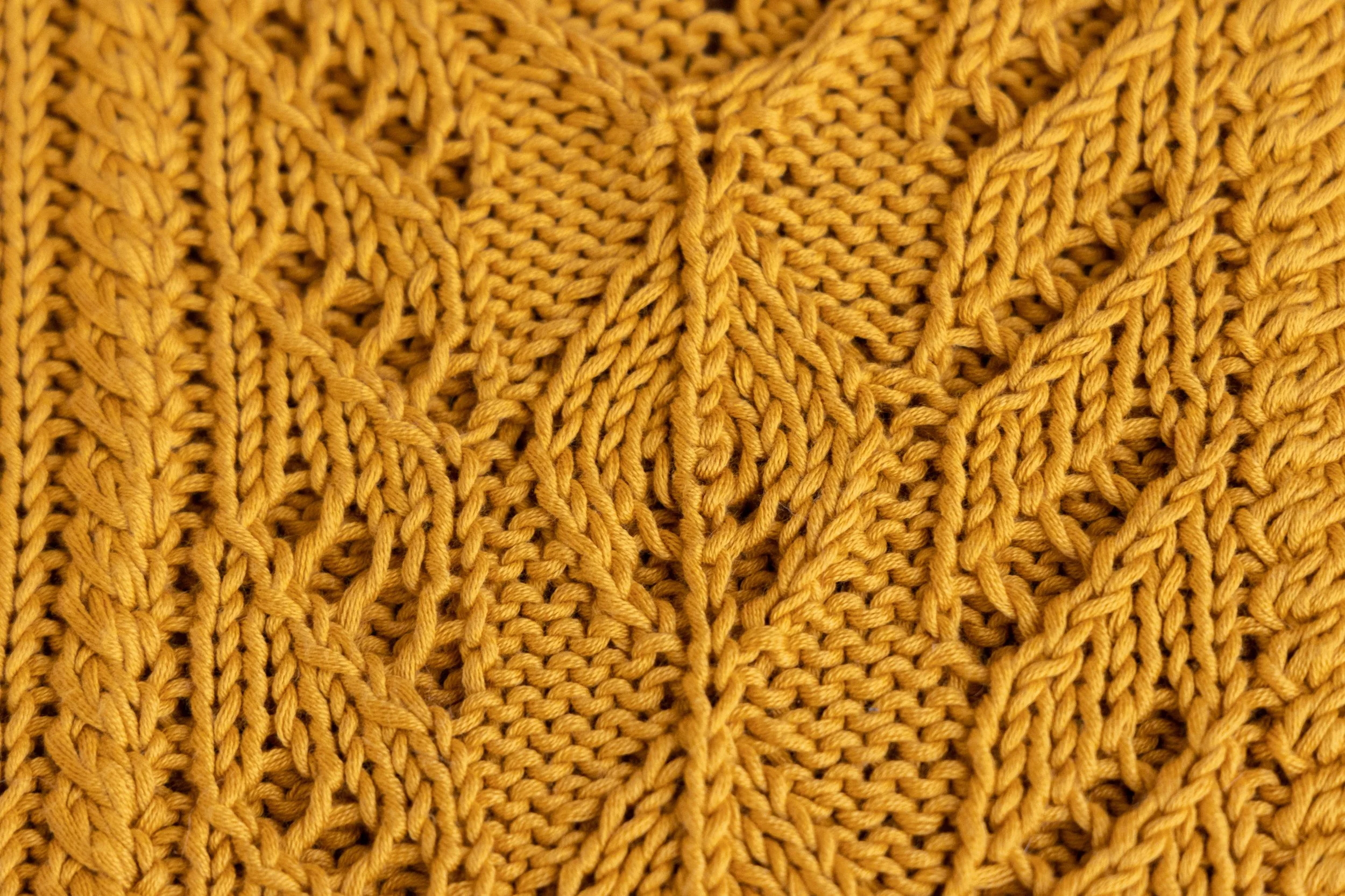 3403 COURSE Morgane Mathieu - Trust the mojo [CRA] 053.JPEG