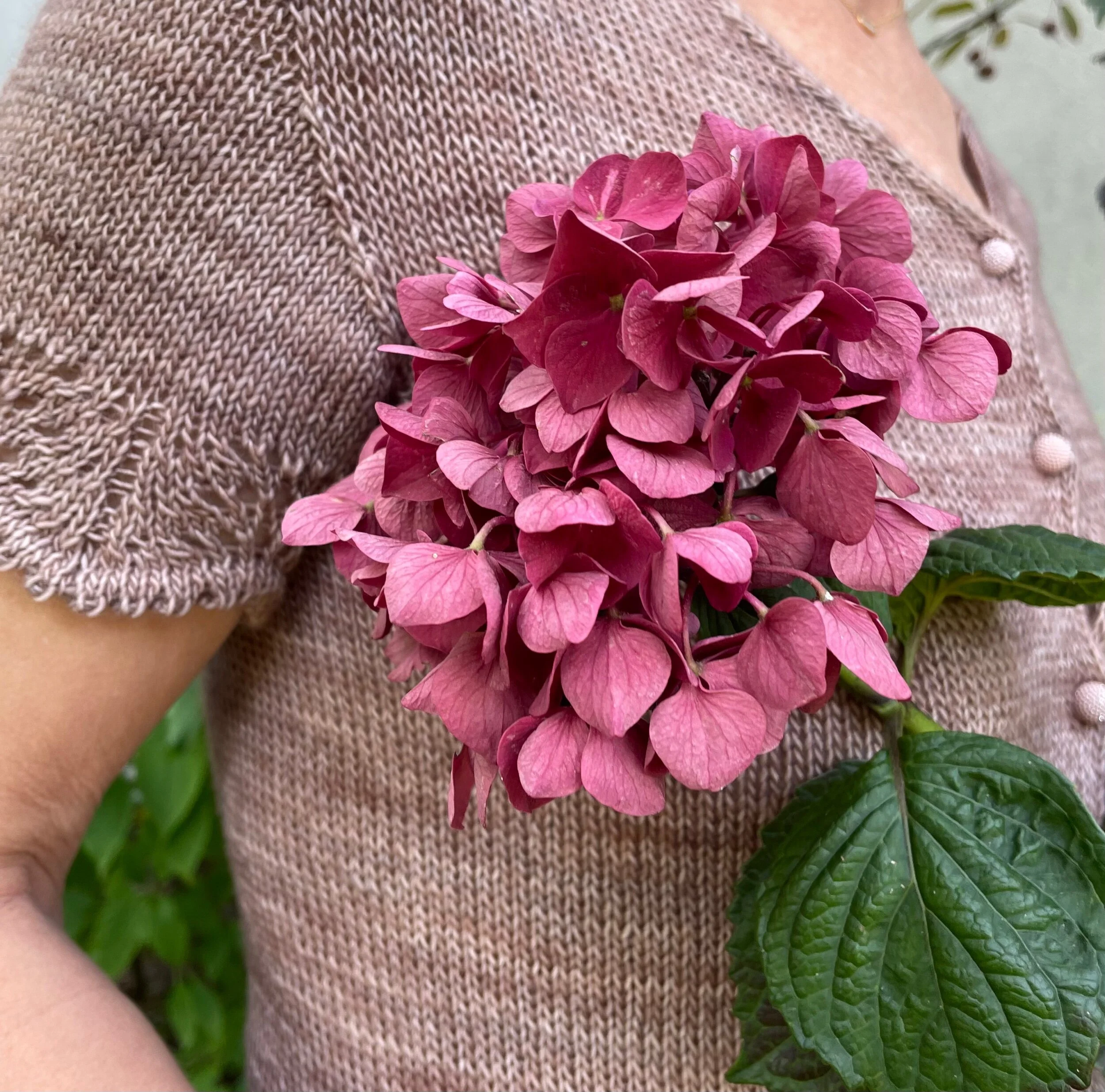 6A6090D5-4602-4567-B18E-567E512695FB