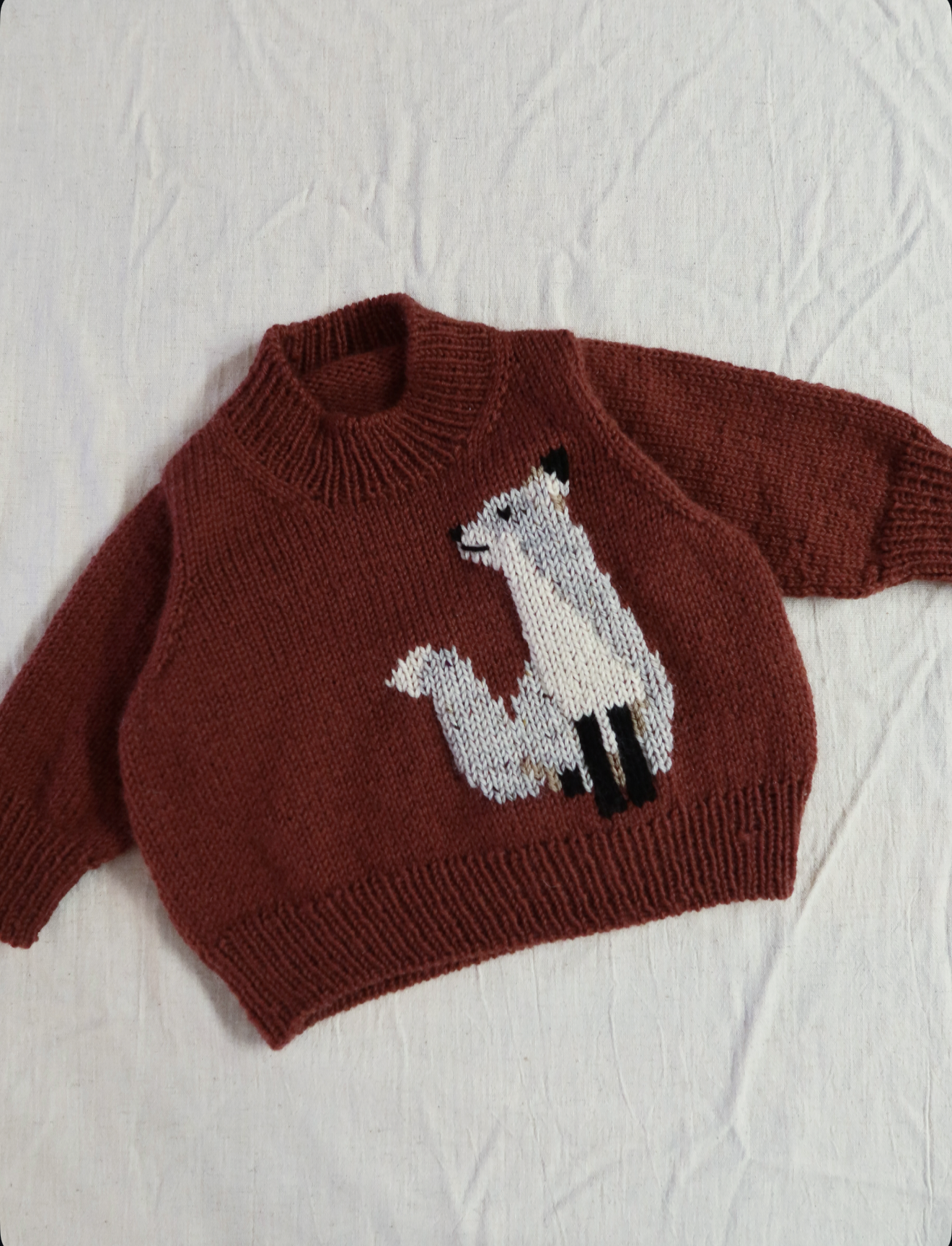 north sweater junior - fr